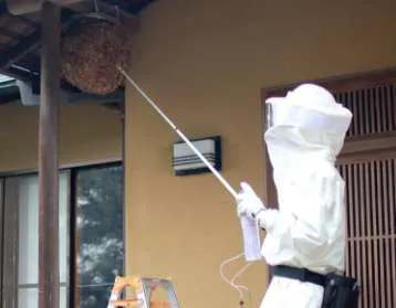 玄関軒下の蜂の巣駆除